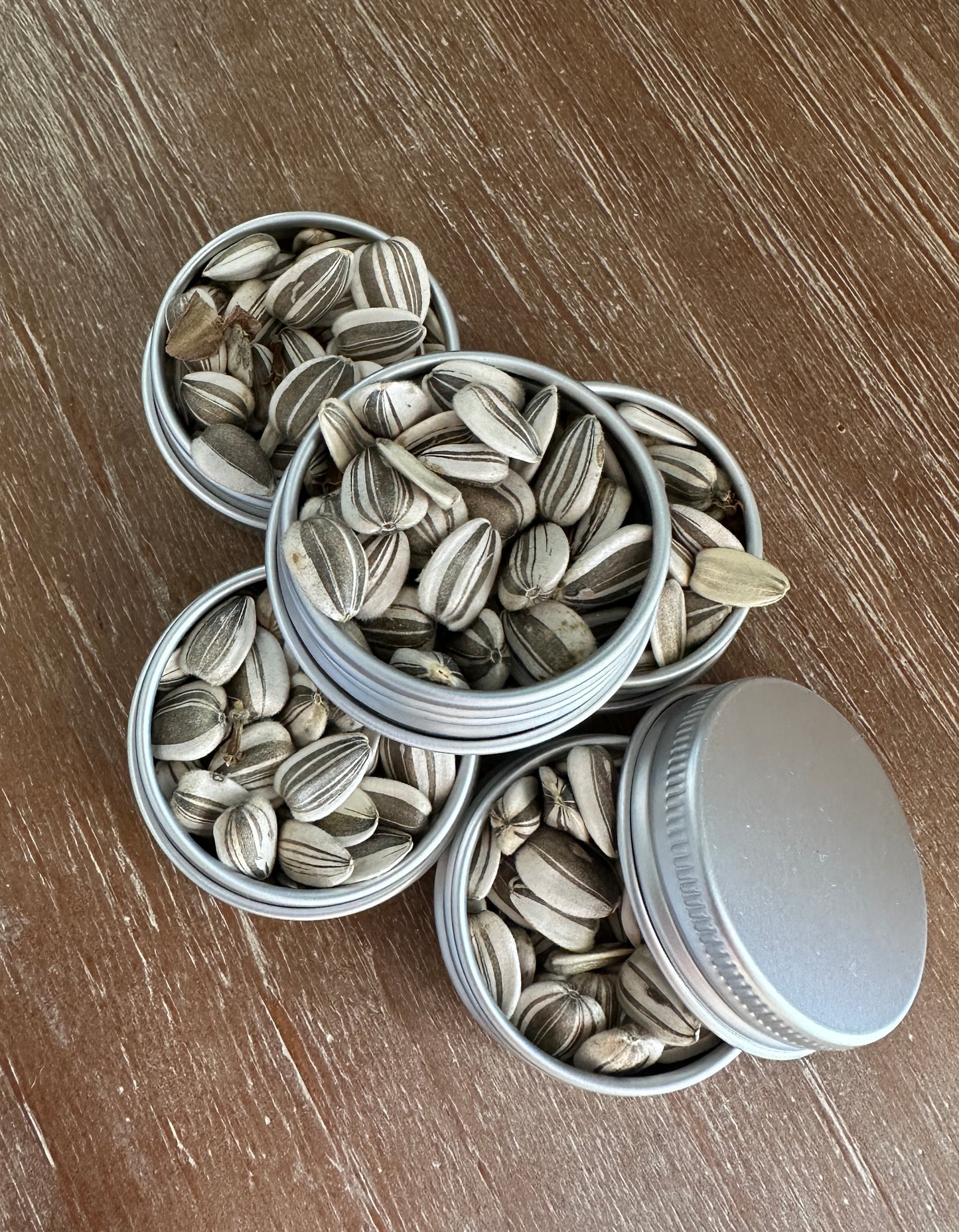 2nd & 3rd Gen seeds (3 options)