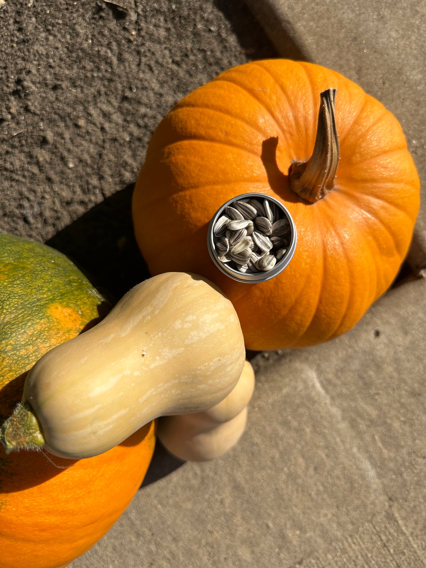 2nd & 3rd Gen seeds (3 options)