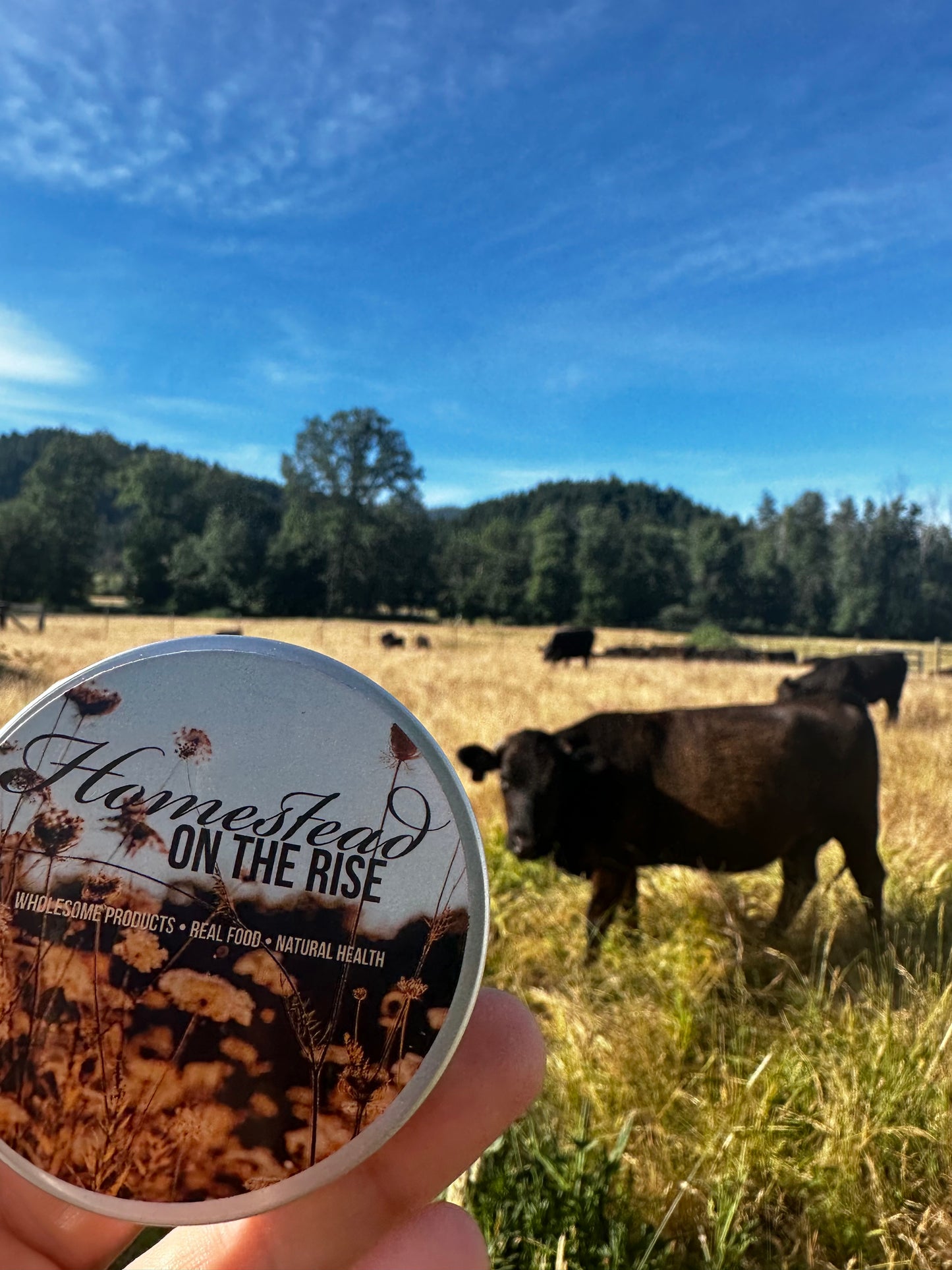 Homestead on the Rise Gift Card