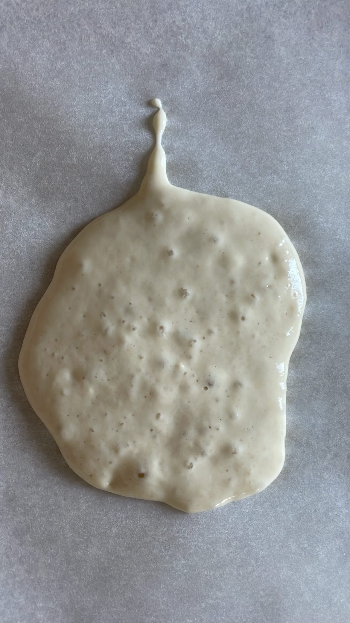 Sourdough Starter (dehydrated)