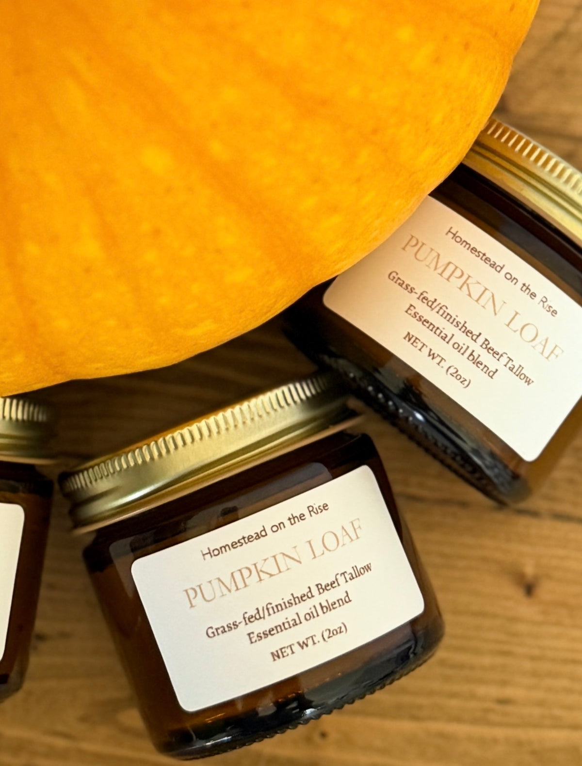 Fall Tallow