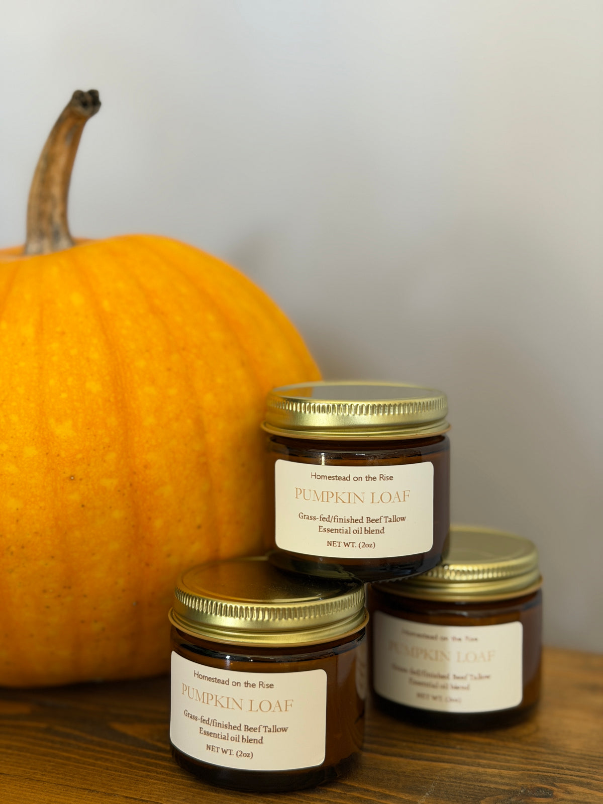 Fall Tallow