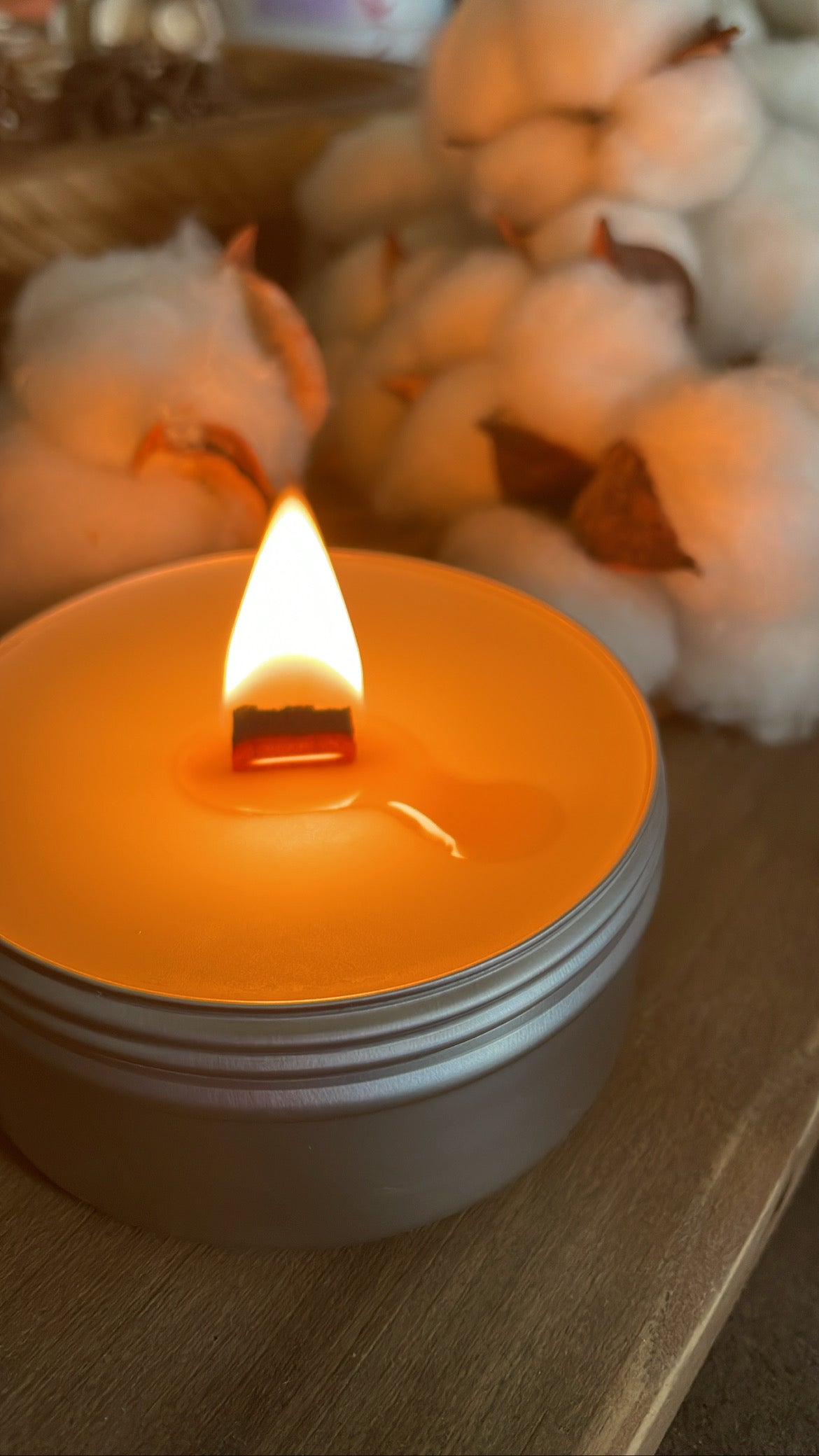 Beef Tallow Candle Sandalwood & Cedar Homestead on the Rise